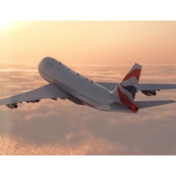 Lais Puzzle - Kommerzielles Flugzeug - 1.000 Teile