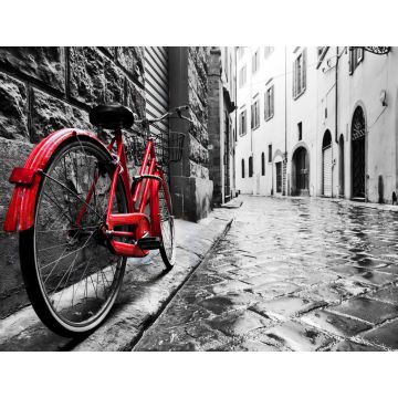Lais Puzzle - Retro Vintage rotes Fahrrad auf Kopfsteinpflaster Straße in der Altstadt. Farbe in schwarz-weiß - 1.000 Teile
