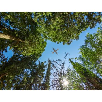 Lais Puzzle - Flugzeug über Bäumen - 1.000 Teile