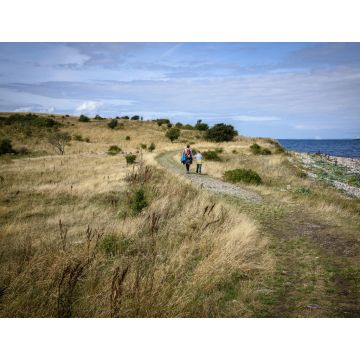 Lais Puzzle - Landschaft auf Fyns Hoved - 1.000 Teile