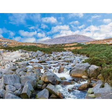 Lais Puzzle - Schöne irische Landschaft in den Wicklow-Bergen - 1.000 Teile