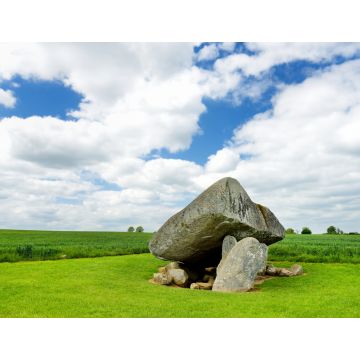 Lais Puzzle - Der Brownshill Dolmen, ein großartiger megalithischer Granitstein in der Grafschaft Carlow, Irland - 1.000 Teile