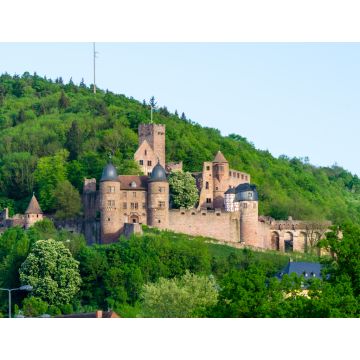 Lais Puzzle - Burg Wertheim - 1.000 Teile