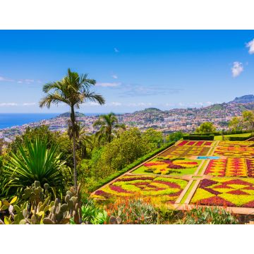 Lais Puzzle - Botanischer Garten in Funchal, Insel Madeira, Portugal - 1.000 Teile