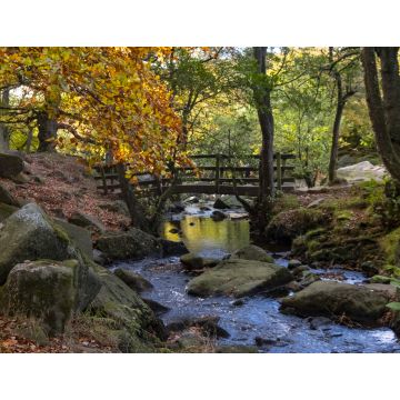 Lais Puzzle - Brücke im Padley Gorge Waldgebiet im Herbst, schöne Farben des Peak District, England - 1.000 Teile