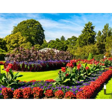 Lais Puzzle - Blumen in den Kew Royal Botanic Gardens in London, England - 1.000 Teile