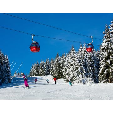 Lais Puzzle - Blick auf den Harz, Winterlandschaft im Oberharz, Bundesland Niedersachsen, Deutschland. - 1.000 Teile