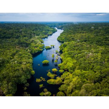Lais Puzzle - Amazonas-Regenwald im Anavilhanas-Nationalpark, Amazonas - Brasilien - 1.000 Teile