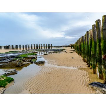 Lais Puzzle - Hölzerner Wellenbrecher am Strand von Wissant, cote opale, Frankreich - 1.000 Teile