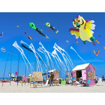 Lais Puzzle - Berck-sur-Mer - Frankreich / Festival du cerf-volant - 1.000 Teile