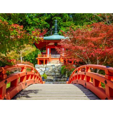 Lais Puzzle - Daigoji-Tempel, Kyoto, Japan - 1.000 Teile