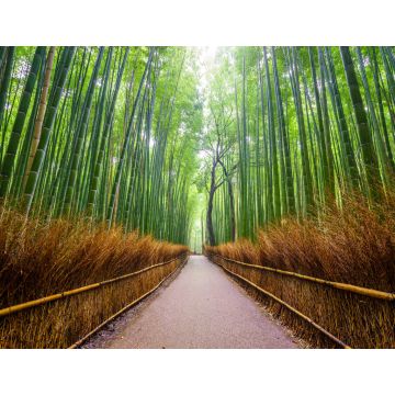Lais Puzzle - Pfad zum Bambuswald, Arashiyama, Kyoto, Japan - 1.000 Teile