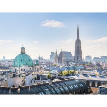 Lais Puzzle - Blick über die Wiener Skyline mit Stephansdom am Morgen, Wien, Österreich - 1.000 Teile