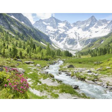 Lais Puzzle - Panorama einer Landschaft mit Wildbach und Gletscher im sommerlichen Zillertal in Tirol Österreich - 1.000 Teile