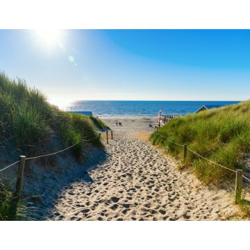 Lais Puzzle - Zugang zum Strand in den Dünen von Texel, Niederlande - 1.000 Teile