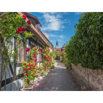 Lais Puzzle - Mittelalterliche Gasse in der historischen Hansestadt Visby auf der schwedischen Ostseeinsel Gotland - 1.000 Teile