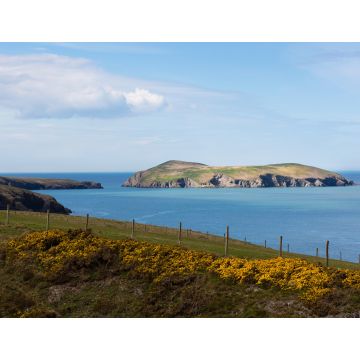 Lais Puzzle - Cardigan Island, Ceredigion, Wales - 1.000 Teile