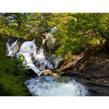 Lais Puzzle - Betws y Coed, Conwy, Wales - 1.000 Teile