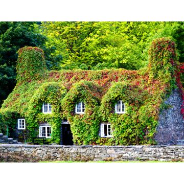 Lais Puzzle - Pont Fawr, berühmte mittelalterliche Steinbrücke über den Fluss Conwy, erbaut von Inigo Jones, und Tu-Hwnt-l'r Bont - altes, mit Weinlaub bedecktes Häuschen, Llanrwst, Caernarfon, Nordwales - 1.000 Teile