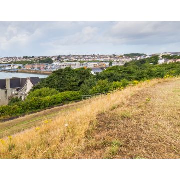 Lais Puzzle - Milford Haven, Pembrokeshire, Wales - 1.000 Teile