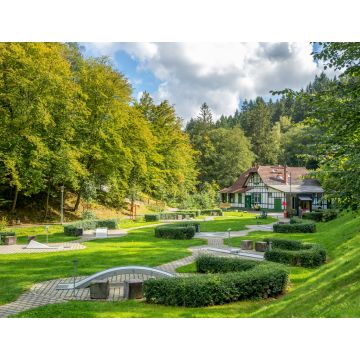 Lais Puzzle - Bad Schwalbach, Kurpark - 1.000 Teile