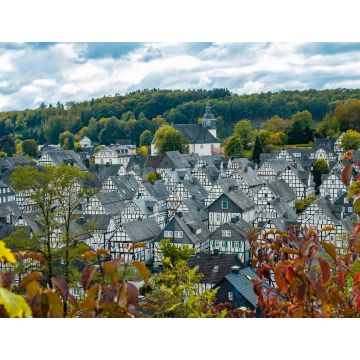 Lais Puzzle - Freudenberg - 1.000 Teile