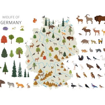 Lais Puzzle - Deutschlands Tierleben - 1.000 Teile