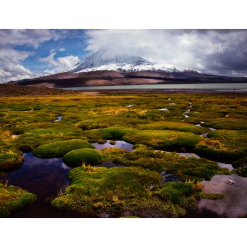 Lais Puzzle - Chile, Lauca-Nationalpark - 1.000 Teile