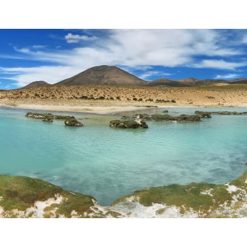Lais Puzzle - Heiße Quellen "Polloquere" im Nationalpark "Salar de Surire" - 1.000 Teile