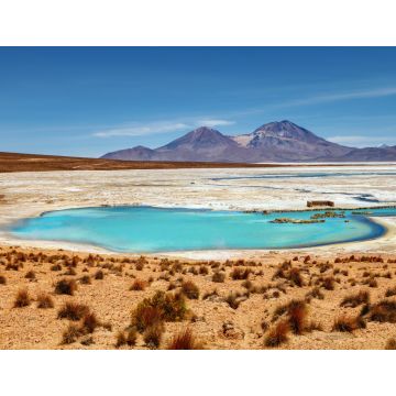 Lais Puzzle - Wunderschöne Landschaft der heißen Quellen Polloquere, in Salt Surire, Isluga Volcano National Park, mehr als 4000 Meter entfernt, Chile - 1.000 Teile