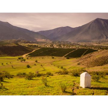 Lais Puzzle - Kakteen, Berge und Täler in der Nähe der Stadt Vicuña Vicuna. Elqui-Tal in Chile - 1.000 Teile