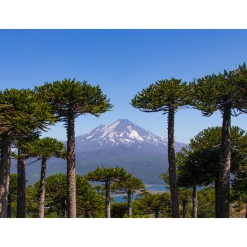 Lais Puzzle - Vulkan Llaima, Chile - 1.000 Teile