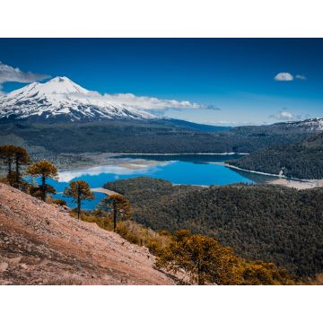 Lais Puzzle - Conguillio Park, Temuco, Chile - 1.000 Teile