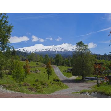 Lais Puzzle - Reserva Huilo huilo, Chile - 1.000 Teile