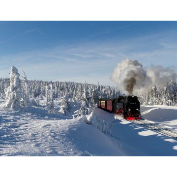 Lais Puzzle - Die Brockenbahn mit der Lok 99 7241-5 der Harzer-Schmalspurbahne - 1.000 Teile