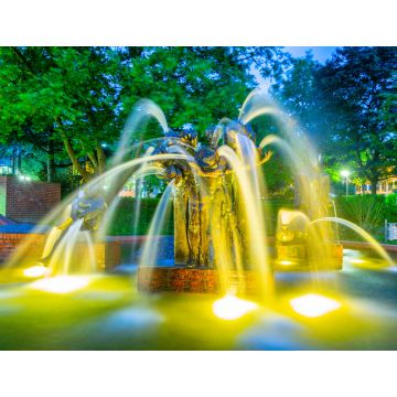 Lais Puzzle - Nachtansicht des Gauklerbrunnens im Stadtpark in Dortmund, Deutschland - 1.000 Teile