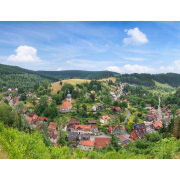 Lais Puzzle - Panoramabild der kleinen idyllischen Bergstadt Wildemann im Harz im Sommer - 1.000 Teile