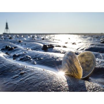 Lais Puzzle - Sandschneise im Wattenmeer in Cuxhaven mit der Kugelbake, einem historischen Hilfsmittel am nördlichsten Punkt Niedersachsens, im Hintergrund - 1.000 Teile