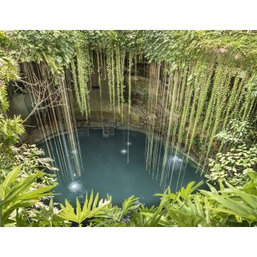 Lais Puzzle - Regenwald-Cenote auf der Halbinsel Yucatan. Tiefe, mit Süßwasser gefüllte Löcher in Yucatan, Mexiko - 1.000 Teile
