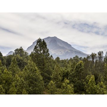Lais Puzzle - La Malinche National Park Tlaxcala, Mexiko - 1.000 Teile
