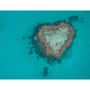 Lais Puzzle - Herz-Riff im Great Barrier Reef, vom Wasserflugzeug aus gesehen - 1.000 Teile