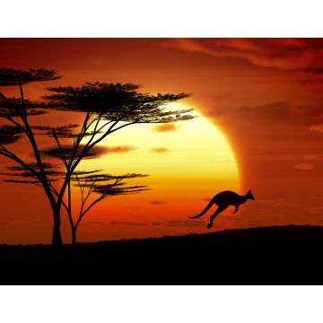 Lais Puzzle - Känguru im Sonnenuntergang, Australien - 1.000 Teile