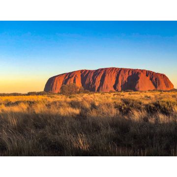 Lais Puzzle - Szenisches Ansicht vom Ayers Rock auf Feld gegen klaren blauen Himmel - 1.000 Teile