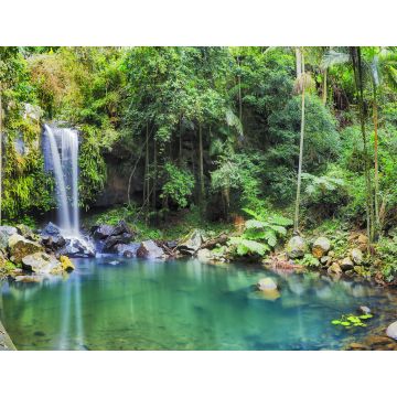 Lais Puzzle - Mount Tamborine, Queensland, Australien - 1.000 Teile