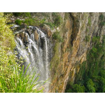 Lais Puzzle - Purlingbrook Falls im Springbrook Nationalpark, Queensland in Australien - 1.000 Teile