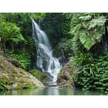 Lais Puzzle - Wasserfall im Lamington National Park in Queensland, Australien - 1.000 Teile