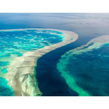 Lais Puzzle - Luftaufnahme des Great Barrier Reefs - 1.000 Teile