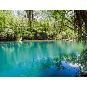 Lais Puzzle - Berry Springs, eine Süßwasserquelle im Northern Territory, Australien - 1.000 Teile