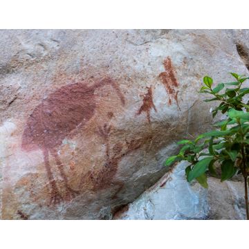Lais Puzzle - Aborigine-Malereien auf dem Felsen. Mauern unter dem Schatten. Bedeutung: Tiere, Emu, Frosch. Elsey-Nationalpark, Victoria-Fluss, Northern Territory, Australien - 1.000 Teile