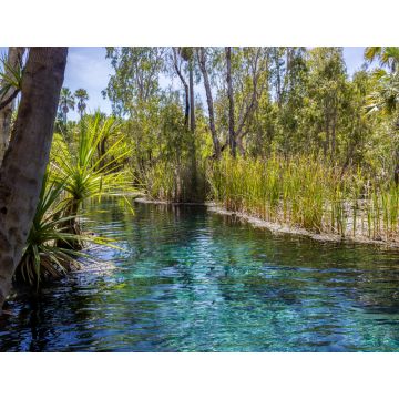 Lais Puzzle - Mataranka Hot Springs im Waterhouse River, Mataranka, Northern Territory, Australien - 1.000 Teile
